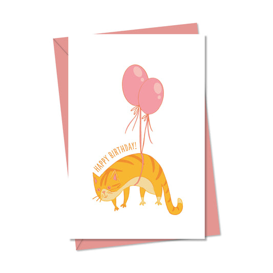 happy birthday cat
