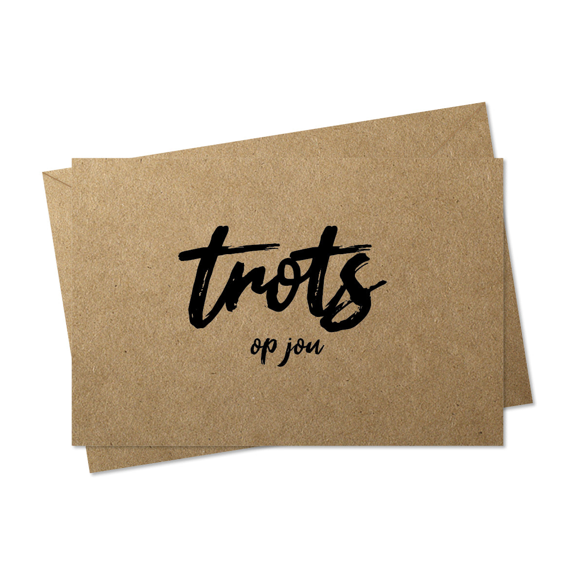 pakket kraft kaartjes - 4 stuks