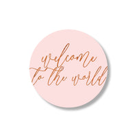 welcome to the world stickers - roze (24st)