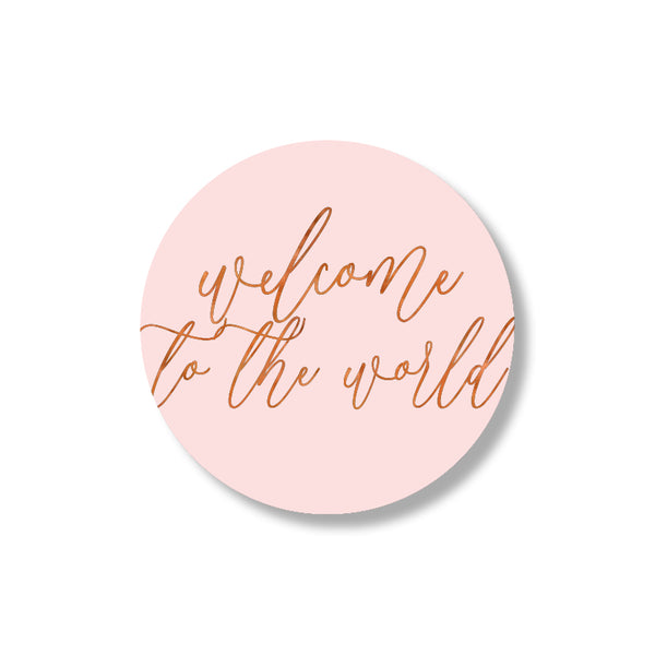 welcome to the world stickers - roze (24st)