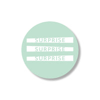 surprise stickers (24st)